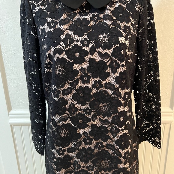 EUC Black Ted Baker Lace Dress Sz 4 - Picture 6 of 9